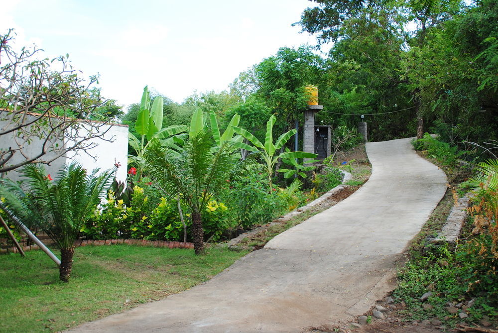 Tiara Bali 2* Pemuteran